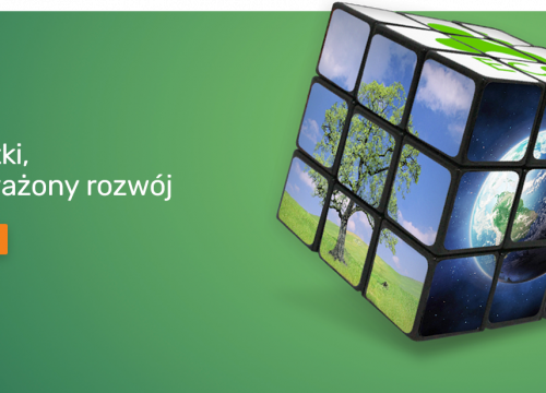 Rubik's Sustainability